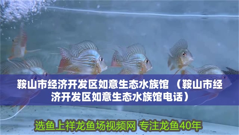 鞍山市經濟開發區如意生態水族館 （鞍山市經濟開發區如意生態水族館電話）