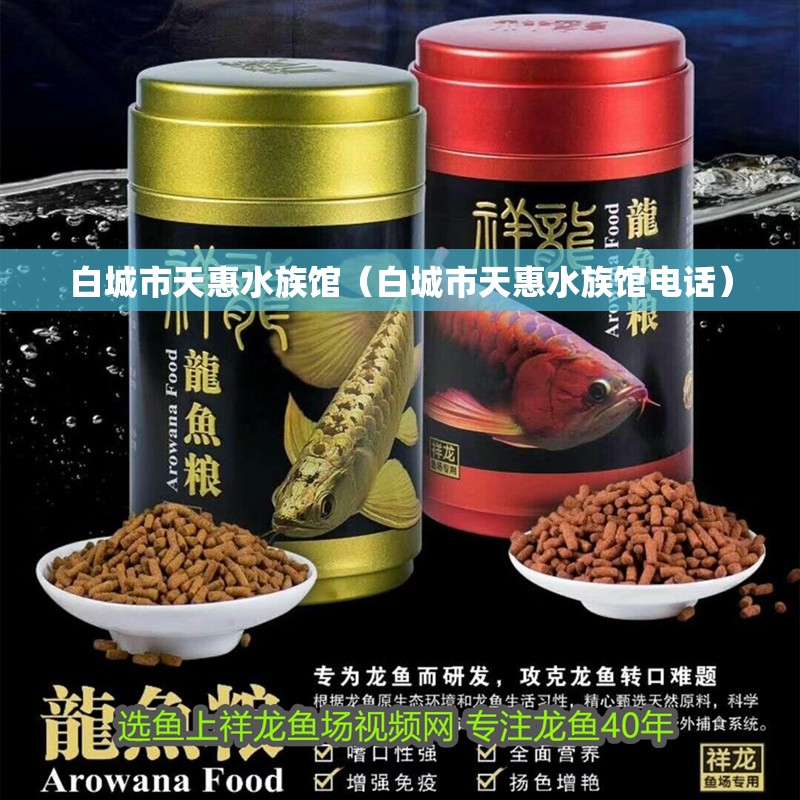 白城市天惠水族館（白城市天惠水族館電話）