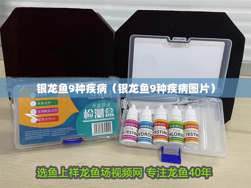 銀龍魚9種疾?。ㄣy龍魚9種疾病圖片）