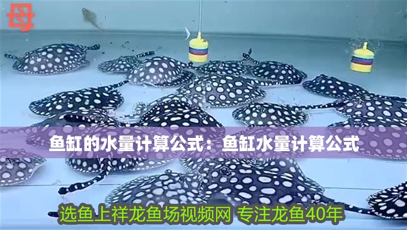 魚缸的水量計算公式：魚缸水量計算公式