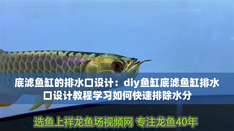 底濾魚缸的排水口設計：diy魚缸底濾魚缸排水口設計教程學習如何快速排除水分