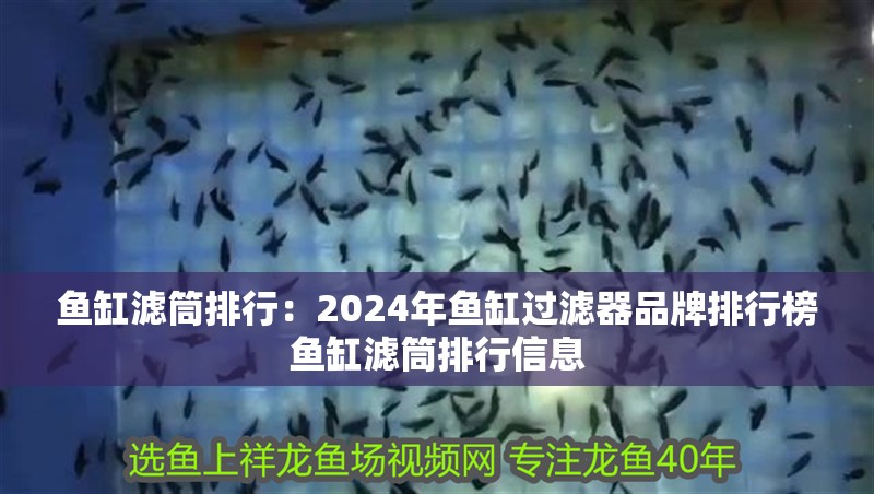 魚缸濾筒排行：2024年魚缸過濾器品牌排行榜魚缸濾筒排行信息