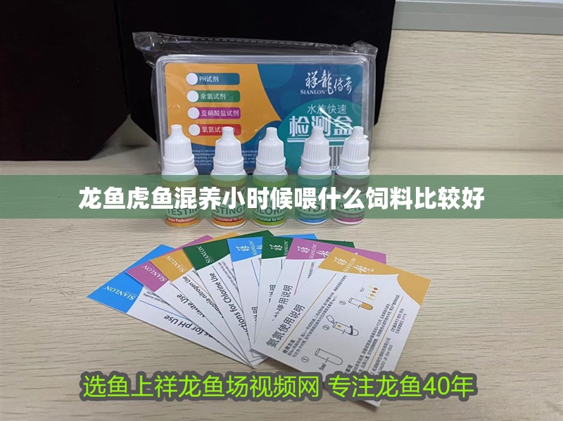 龍魚虎魚混養小時候喂什么飼料比較好