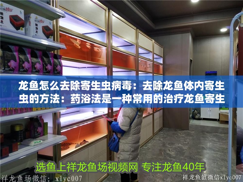 龍魚怎么去除寄生蟲病毒：去除龍魚體內寄生蟲的方法：藥浴法是一種常用的治療龍魚寄生蟲的方法