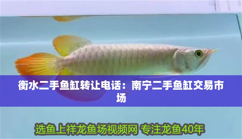 衡水二手魚(yú)缸轉(zhuǎn)讓電話：南寧二手魚(yú)缸交易市場(chǎng)