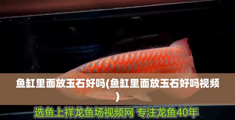 魚缸里面放玉石好嗎(魚缸里面放玉石好嗎視頻)