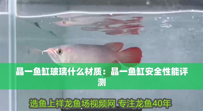 晶一魚缸玻璃什么材質：晶一魚缸安全性能評測