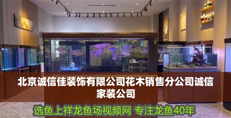 北京誠信佳裝飾有限公司花木銷售分公司誠信家裝公司