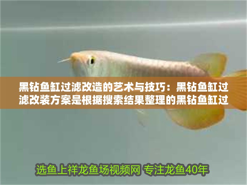 黑鉆魚缸過(guò)濾改造的藝術(shù)與技巧：黑鉆魚缸過(guò)濾改裝方案是根據(jù)搜索結(jié)果整理的黑鉆魚缸過(guò)濾改裝方案