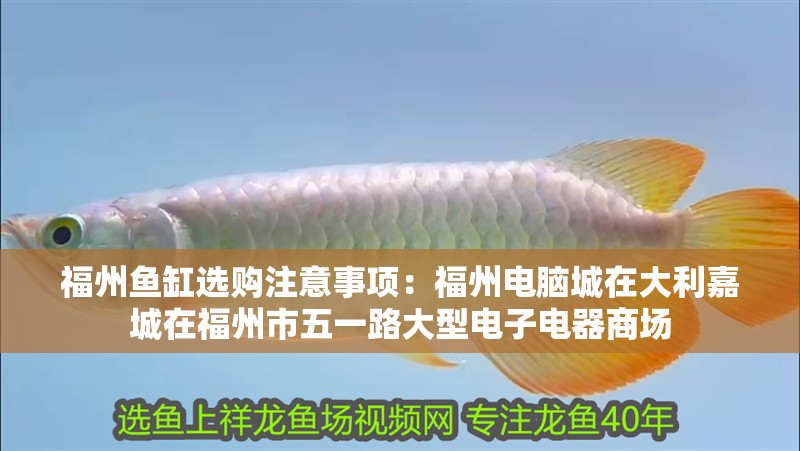 福州魚缸選購注意事項(xiàng)：福州電腦城在大利嘉城在福州市五一路大型電子電器商場