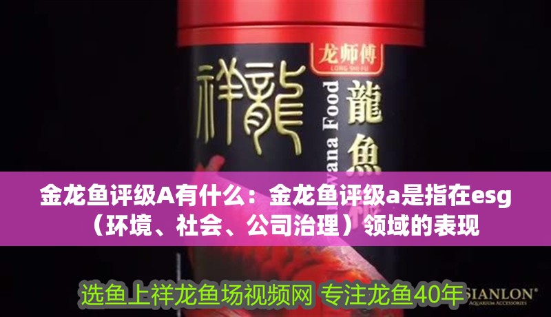 金龍魚評級A有什么：金龍魚評級a是指在esg（環境、社會、公司治理）領域的表現