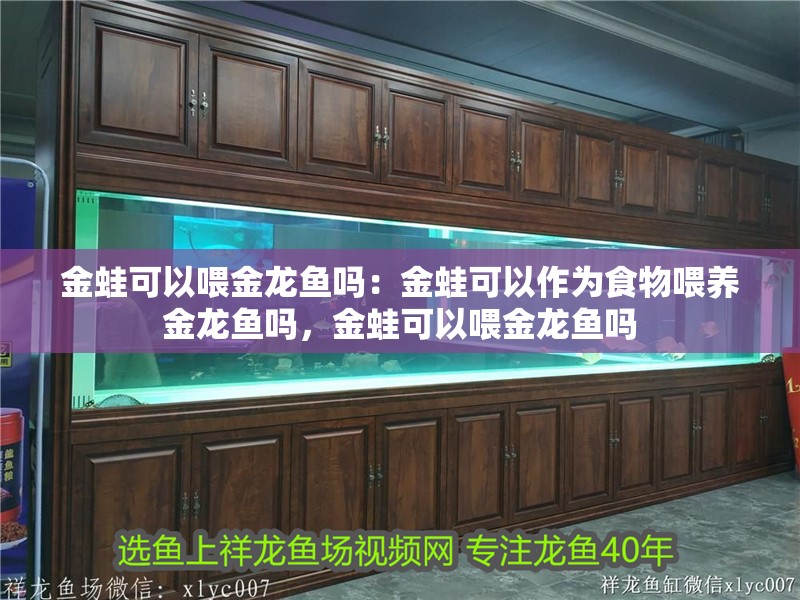 金蛙可以喂金龍魚嗎：金蛙可以作為食物喂養金龍魚嗎，金蛙可以喂金龍魚嗎