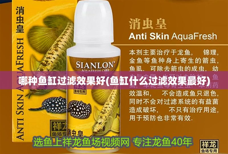 哪種魚缸過濾效果好(魚缸什么過濾效果最好)