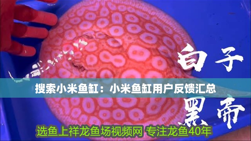 搜索小米魚缸：小米魚缸用戶反饋匯總