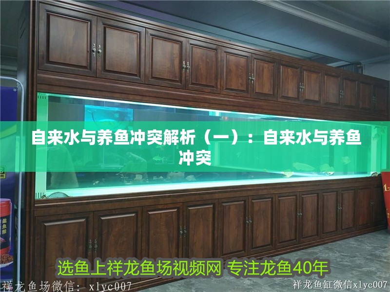 自來水與養魚沖突解析（一）：自來水與養魚沖突