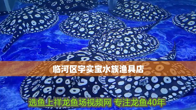 臨河區宇實寶水族漁具店