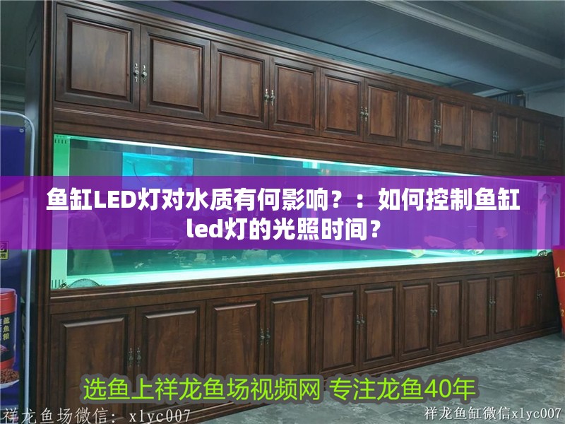 魚缸LED燈對(duì)水質(zhì)有何影響？：如何控制魚缸led燈的光照時(shí)間？