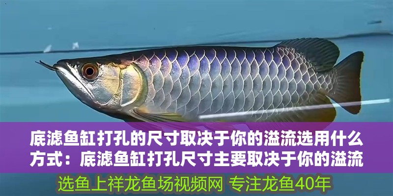 底濾魚缸打孔的尺寸取決于你的溢流選用什么方式：底濾魚缸打孔尺寸主要取決于你的溢流選用什么方式