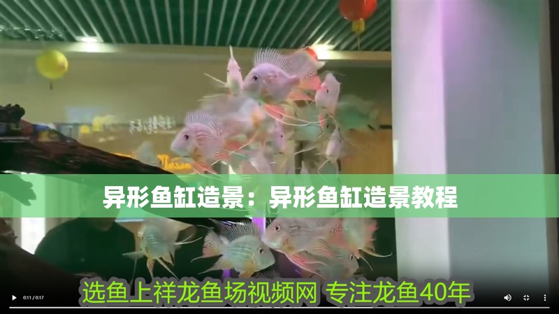 異形魚缸造景：異形魚缸造景教程