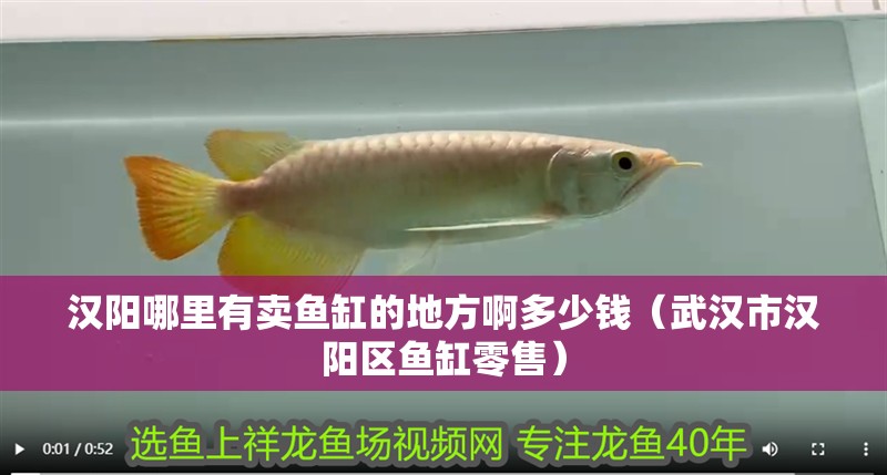 漢陽哪里有賣魚缸的地方啊多少錢（武漢市漢陽區魚缸零售）
