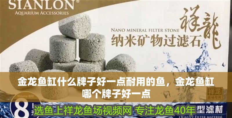 金龍魚缸什么牌子好一點(diǎn)耐用的魚，金龍魚缸哪個(gè)牌子好一點(diǎn)