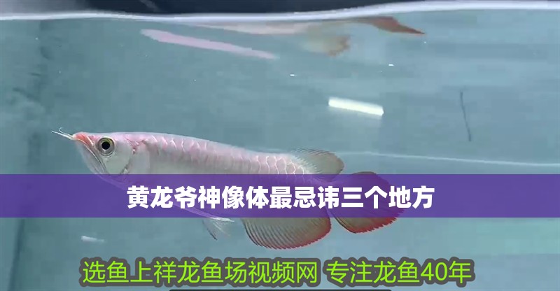 黃龍爺神像體最忌諱三個地方