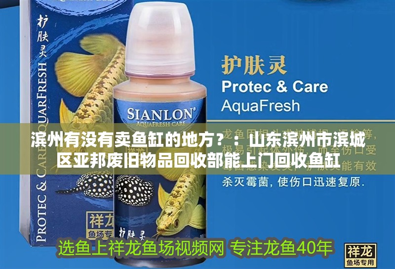 濱州有沒有賣魚缸的地方？：山東濱州市濱城區亞邦廢舊物品回收部能上門回收魚缸 濱州有沒有賣魚缸的地方？：山東濱州市濱城區亞邦廢舊物品回收部能上門回收魚缸 魚缸百科
