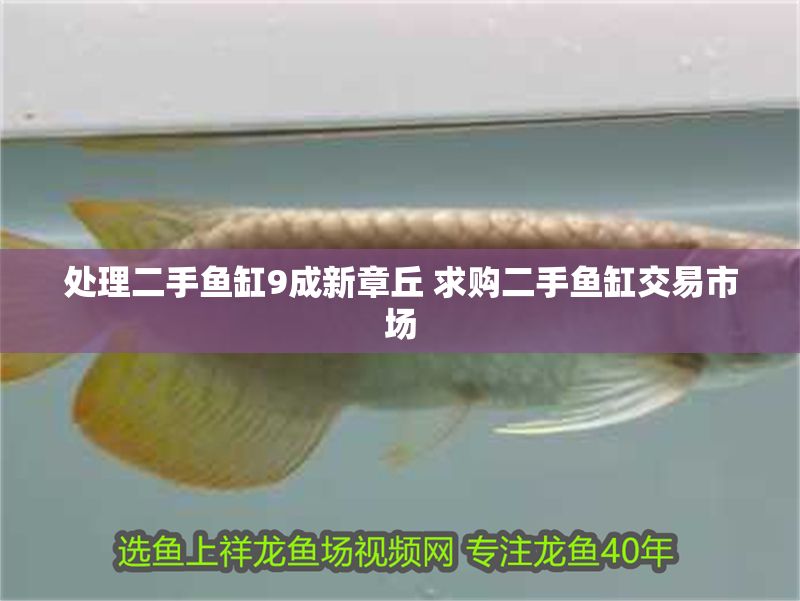 處理二手魚(yú)缸9成新章丘 求購(gòu)二手魚(yú)缸交易市場(chǎng)