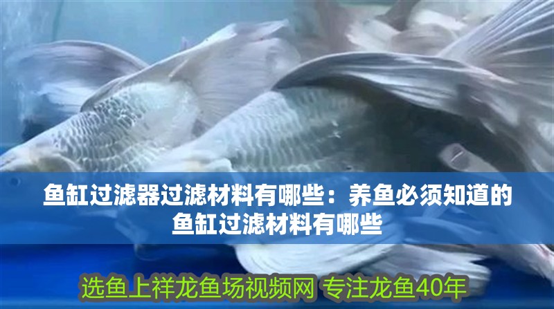 魚(yú)缸過(guò)濾器過(guò)濾材料有哪些：養(yǎng)魚(yú)必須知道的魚(yú)缸過(guò)濾材料有哪些