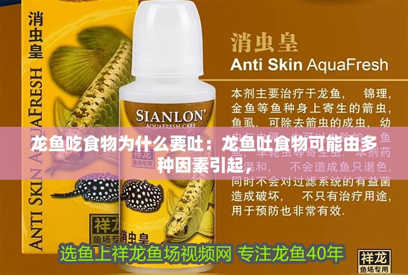 龍魚吃食物為什么要吐：龍魚吐食物可能由多種因素引起，