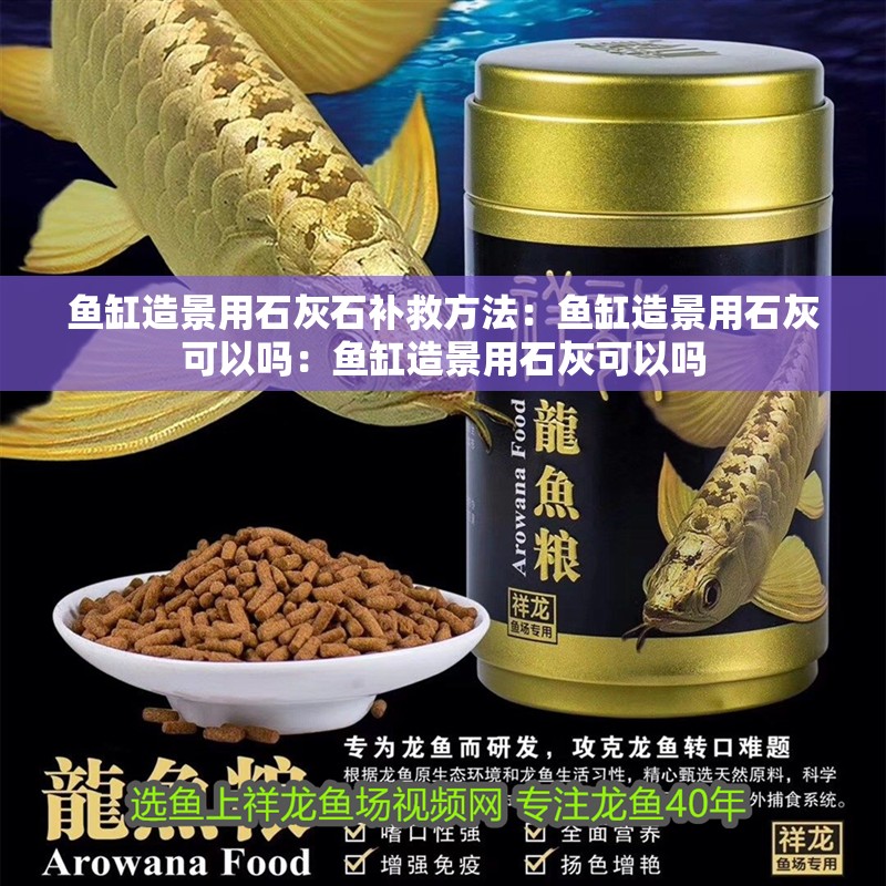 龍魚怕什么 魚缸造景用石灰石補救方法:魚缸造景用石灰可以嗎:魚缸造景用石灰可以嗎 魚缸百科 魚缸造景用石灰石補救方法:魚缸造景用石灰可以嗎:魚缸造景用石灰可以嗎 魚缸造景用石灰石補救方法:魚缸造景用石灰可以嗎:魚缸造景用石灰可以嗎 魚缸百科