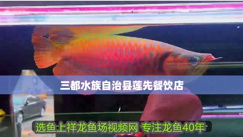 我的虎魚真菌感染了要怎么處理 三都水族自治縣蓮先餐飲店 全國水族館企業名錄 三都水族自治縣蓮先餐飲店 三都水族自治縣蓮先餐飲店 全國水族館企業名錄