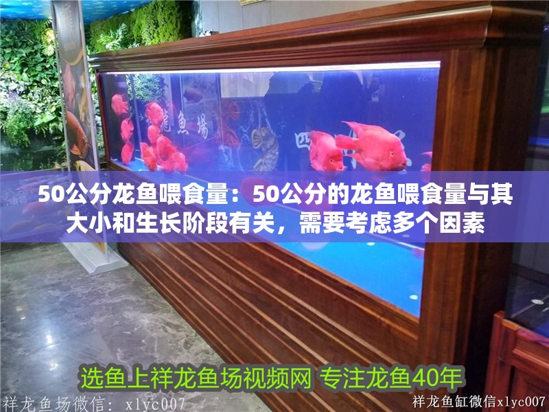 50公分龍魚喂食量：50公分的龍魚喂食量與其大小和生長階段有關，需要考慮多個因素