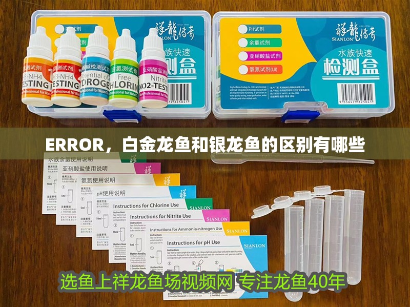 ERROR，白金龍魚和銀龍魚的區別有哪些