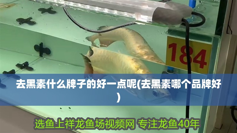 去黑素什么牌子的好一點呢(去黑素哪個品牌好)