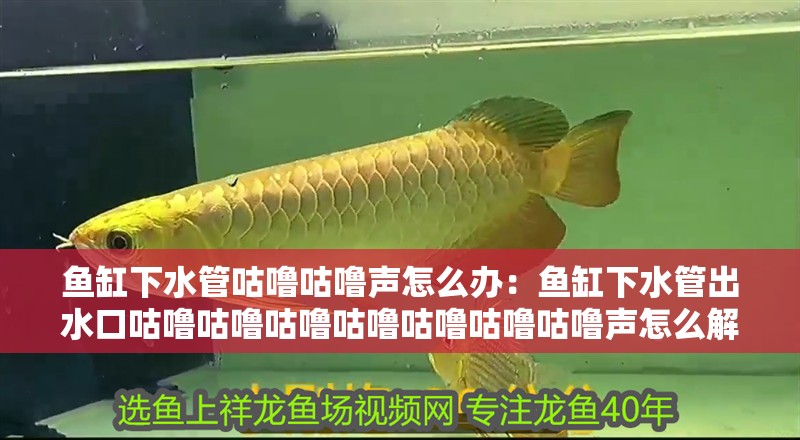 魚缸下水管咕嚕咕嚕聲怎么辦：魚缸下水管出水口咕嚕咕嚕咕嚕咕嚕咕嚕咕嚕咕嚕聲怎么解決
