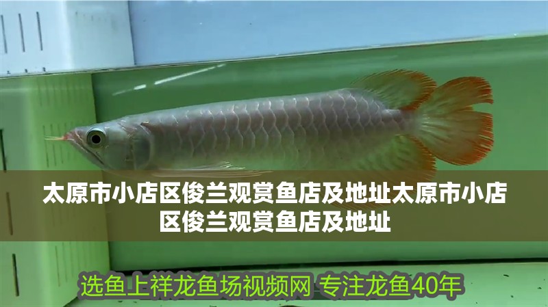太原市小店區俊蘭觀賞魚店及地址太原市小店區俊蘭觀賞魚店及地址
