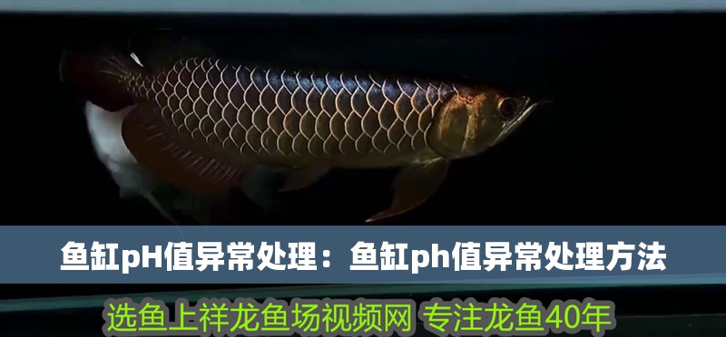 魚缸pH值異常處理：魚缸ph值異常處理方法