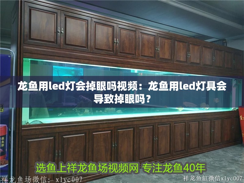 龍魚用led燈會掉眼嗎視頻：龍魚用led燈具會導致掉眼嗎？