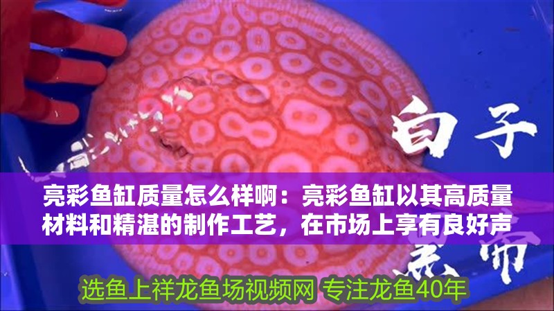 亮彩魚缸質量怎么樣啊：亮彩魚缸以其高質量材料和精湛的制作工藝，在市場上享有良好聲譽
