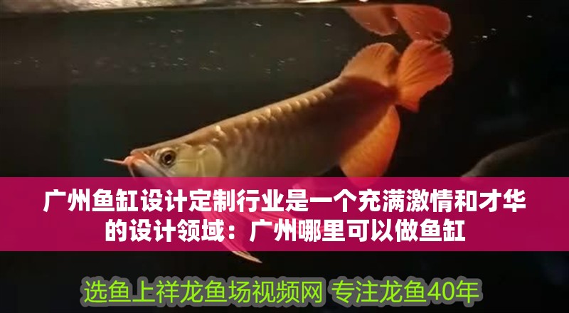 廣州魚缸設計定制行業是一個充滿激情和才華的設計領域：廣州哪里可以做魚缸