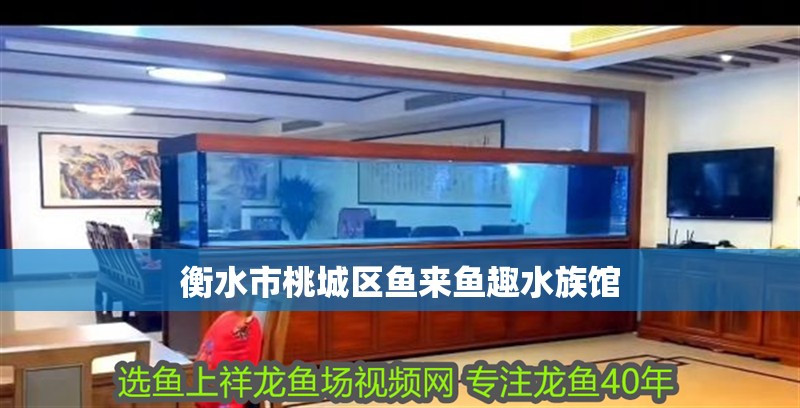 <strong><mark>衡水</mark></strong>市桃城區魚來魚趣水族館