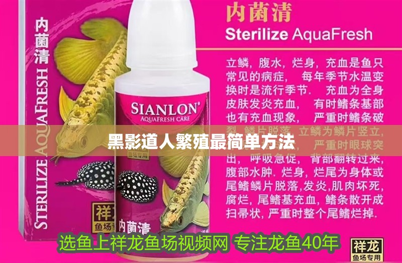 黑影道人繁殖最簡單方法