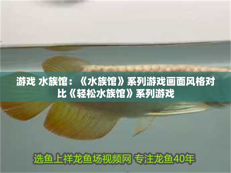 游戲 水族館：《水族館》系列游戲畫面風格對比《輕松水族館》系列游戲 游戲 水族館：《水族館》系列游戲畫面風格對比《輕松水族館》系列游戲 水族館百科（水族館加盟） 第1張