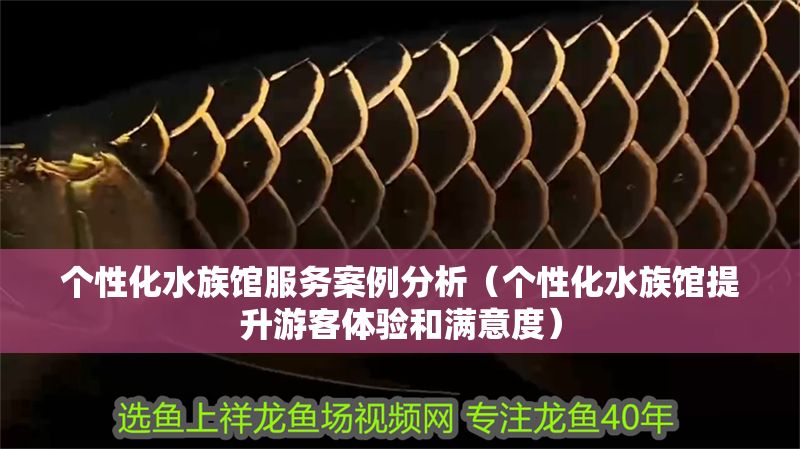 個性化水族館服務案例分析（個性化水族館提升游客體驗和滿意度）