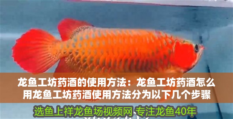 龍魚工坊藥酒的使用方法：龍魚工坊藥酒怎么用龍魚工坊藥酒使用方法分為以下幾個步驟
