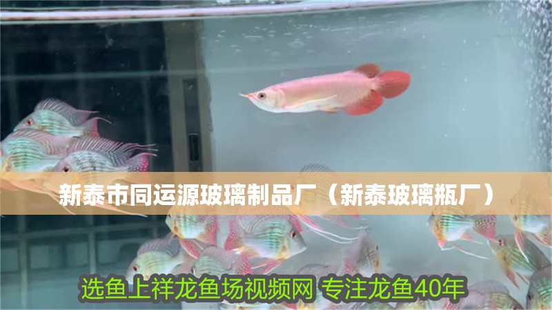 新泰市同運(yùn)源玻璃制品廠（新泰玻璃瓶廠）