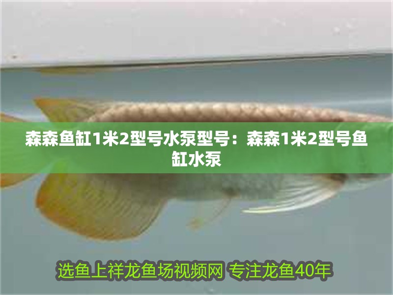 森森魚缸1米2型號(hào)水泵型號(hào)：森森1米2型號(hào)魚缸水泵