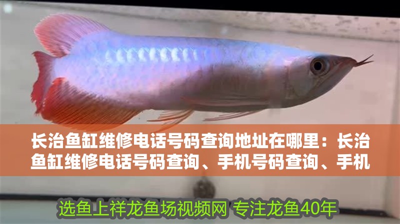 長治魚缸維修電話號碼查詢地址在哪里：長治魚缸維修電話號碼查詢、手機號碼查詢、手機號碼查詢地址