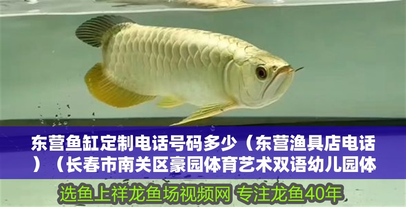 東營魚缸定制電話號碼多少（東營漁具店電話）（長春市南關區豪園體育藝術雙語幼兒園體育藝術雙語幼兒園）